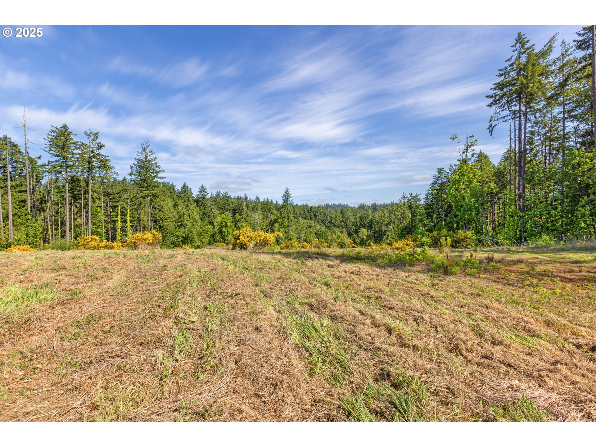 Spring Boulevard Eugene, OR 97405 - Photo 18 of 29