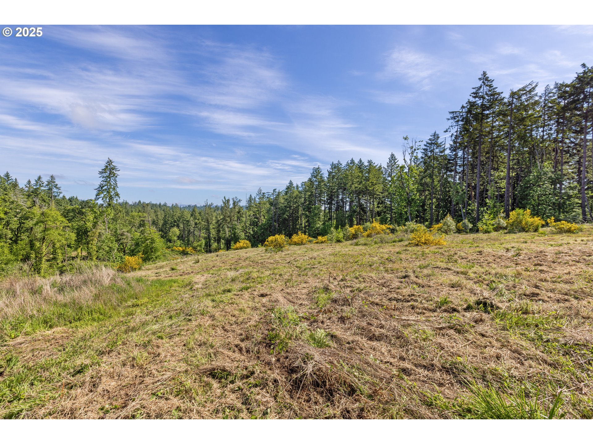 Spring Boulevard Eugene, OR 97405 - Photo 19 of 29