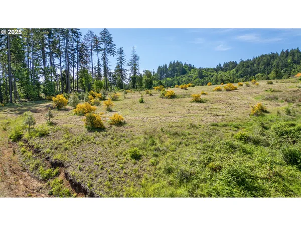 $579,000 | Spring Boulevard, Eugene, OR 97405