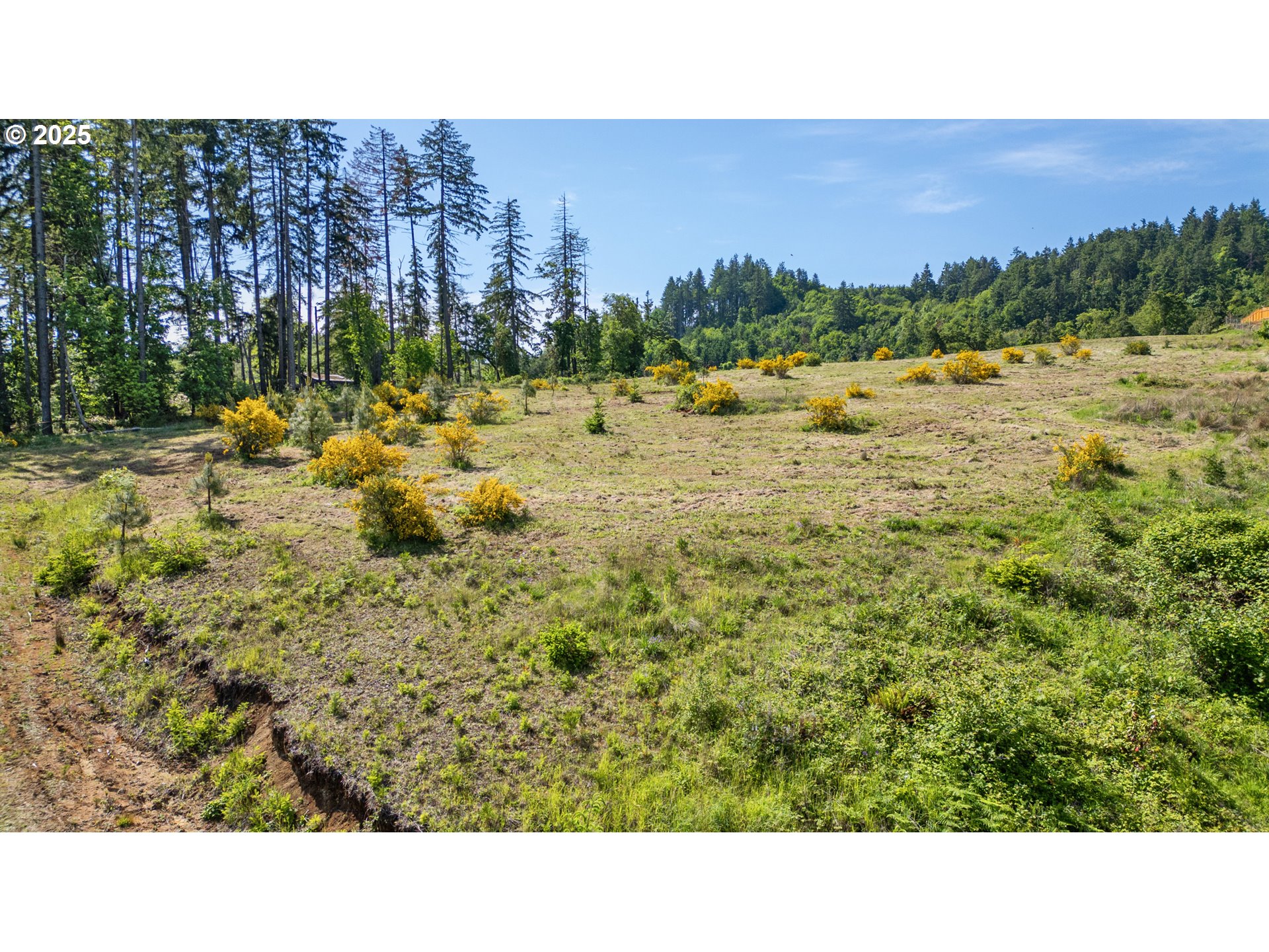 Spring Boulevard Eugene, OR 97405 - Photo 22 of 29