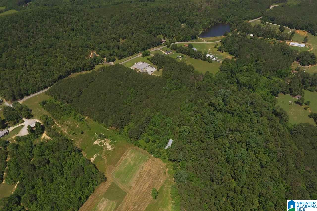 0 Williams Road, Unit 1 Jacksonville, AL 36265 - Photo 9 of 11