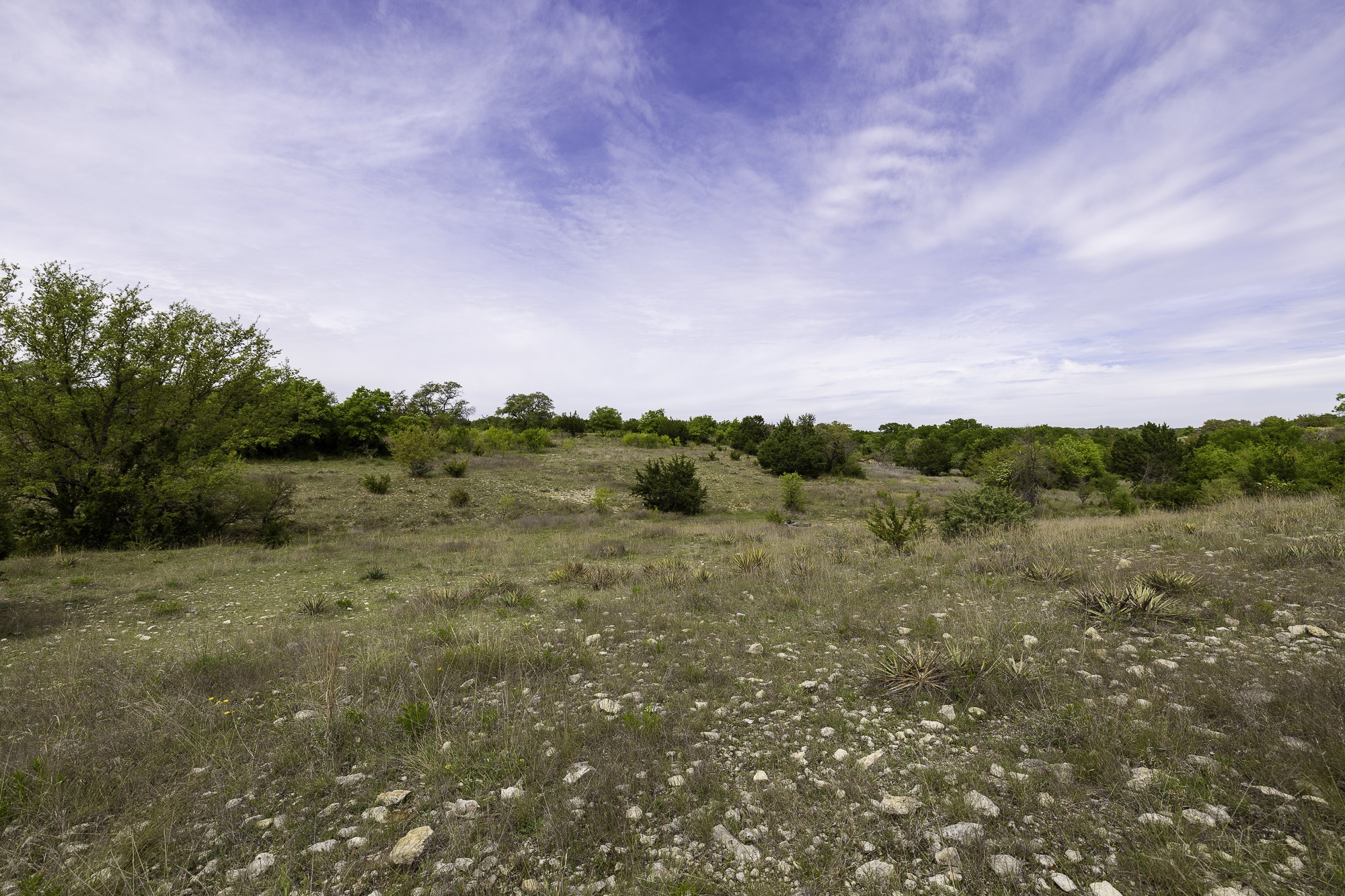 525 Jack Rabbit Circle Zephyr, TX 76890 - Photo 3 of 37