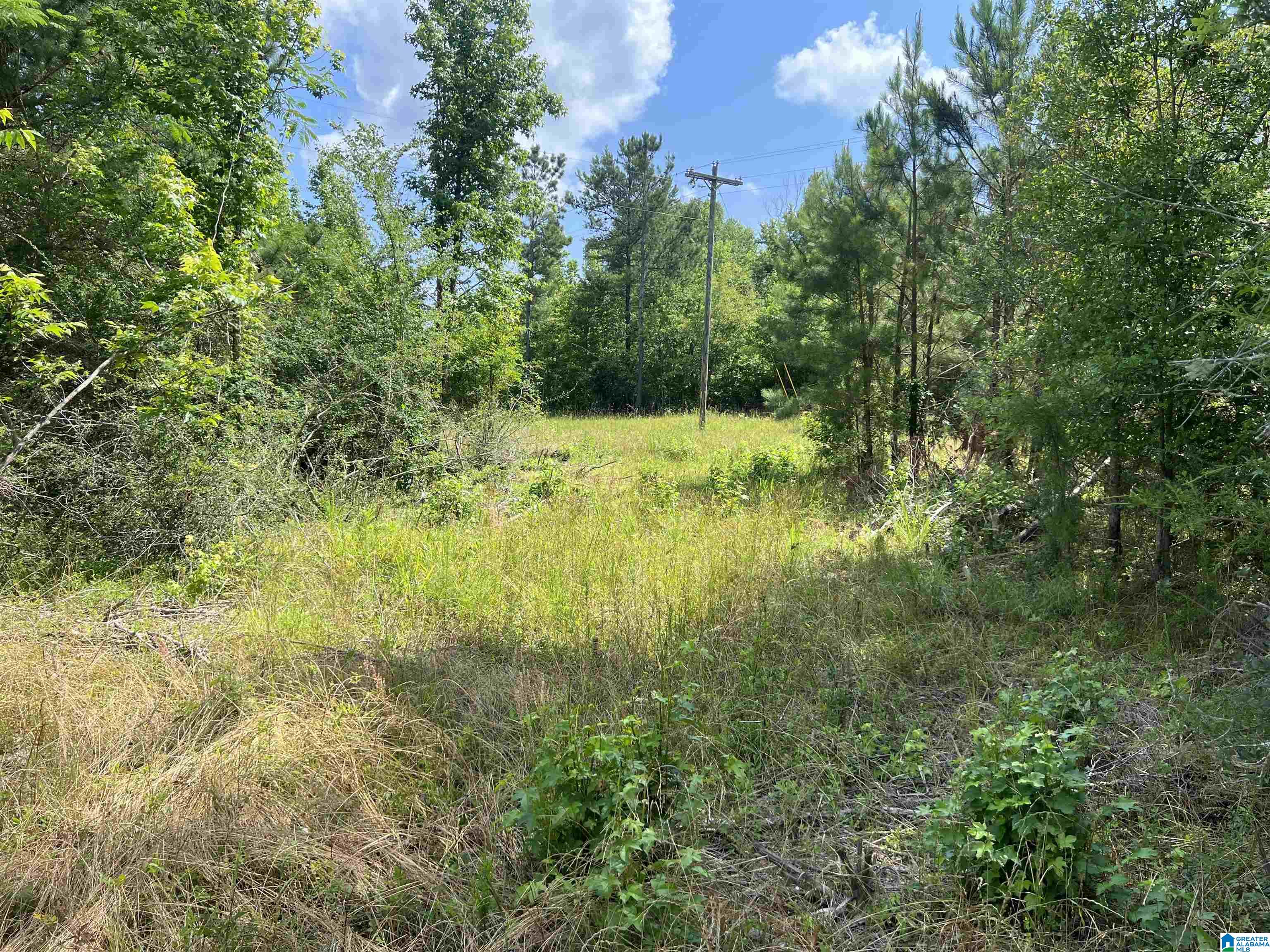4795 Highway 239 Banks, AL 36005 - Photo 3 of 4