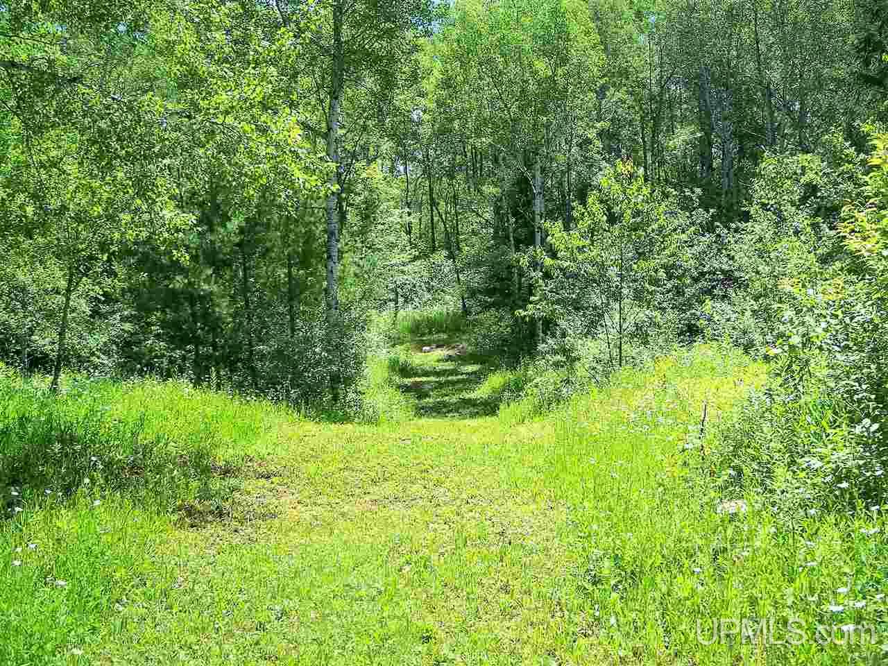 8275 4th Street Ramsay, MI 49959 - Photo 16 of 20