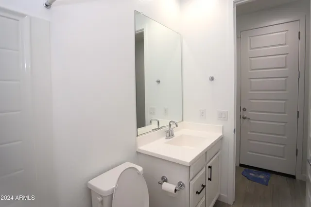 a bathroom with a sink a toilet and vanity
