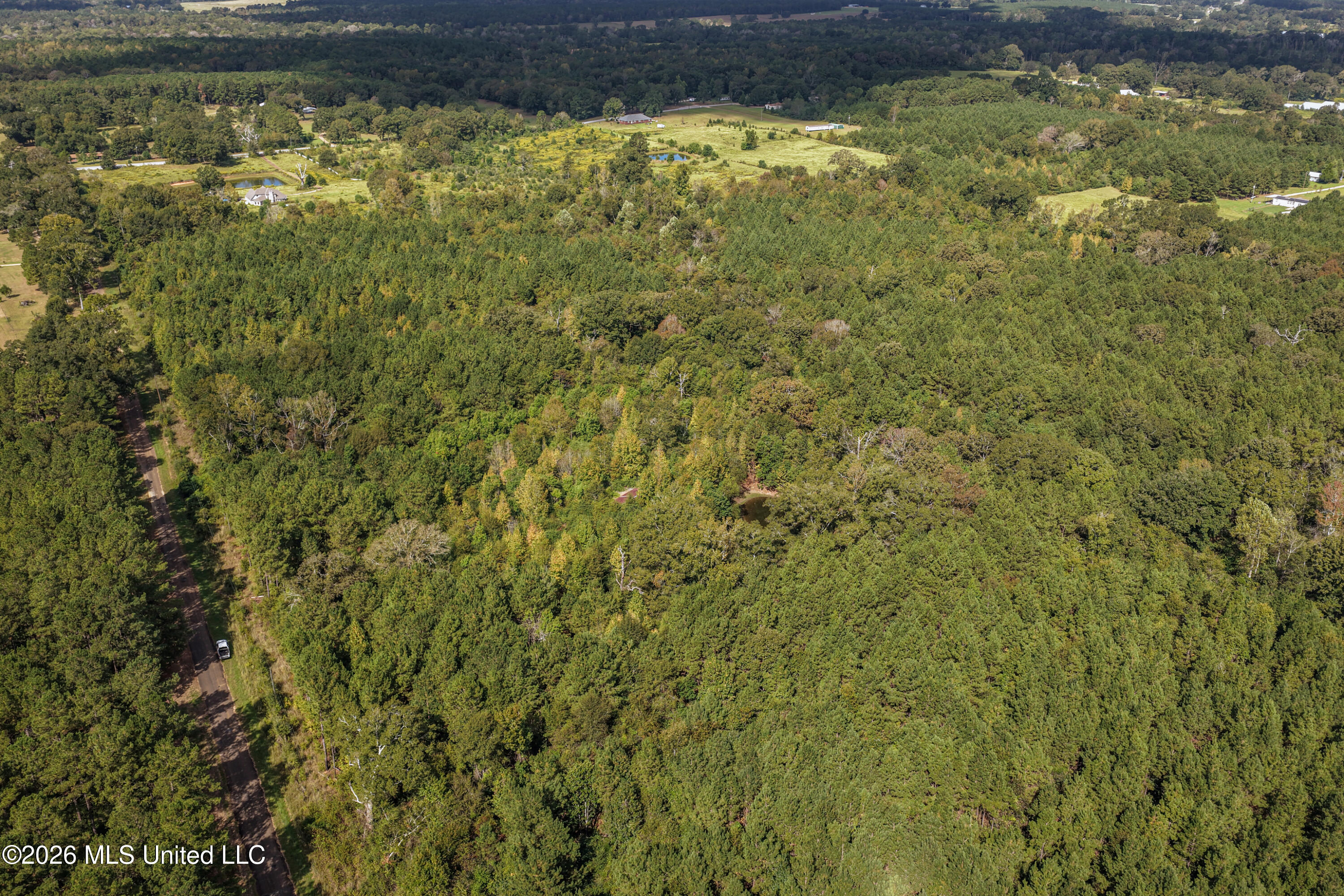 Allen Lane Magnolia, MS 39652 - Photo 12 of 21 DJI_20261002104710_0136_D