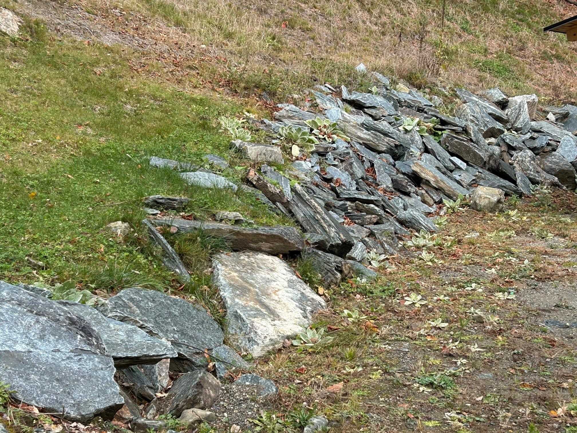 33 Williams Lane Wolcott, VT 05680 - Photo 41 of 55