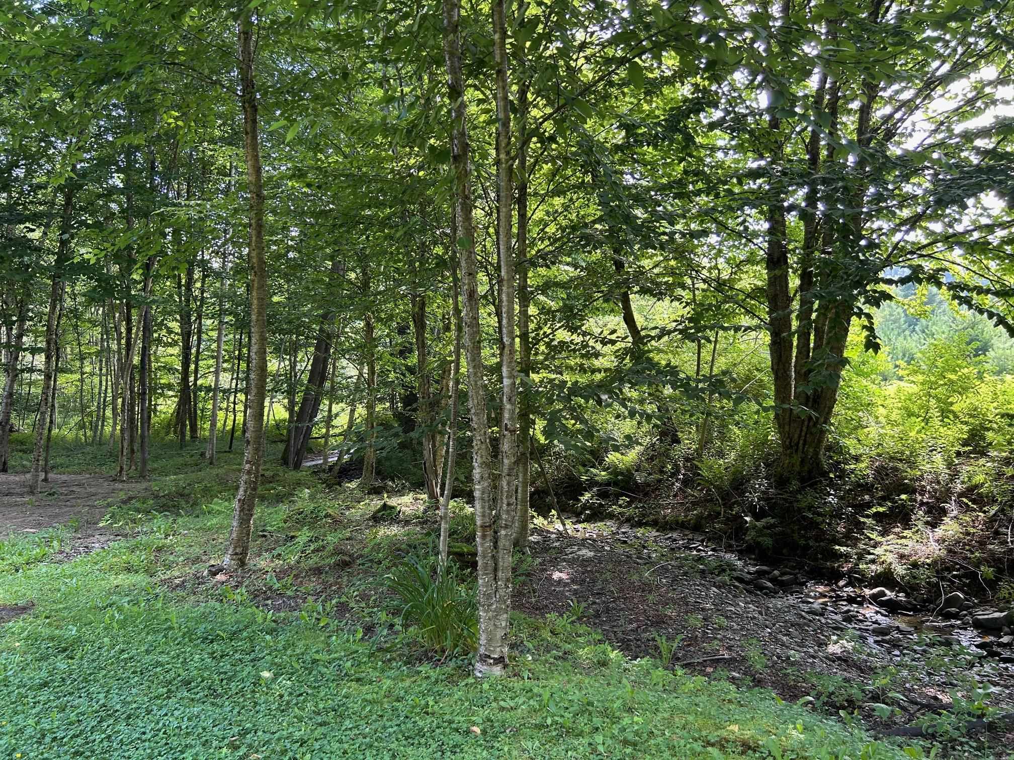 33 Williams Lane Wolcott, VT 05680 - Photo 42 of 57