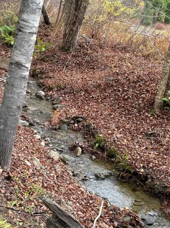$499,000 | 33 Williams Lane, Wolcott, VT 05680