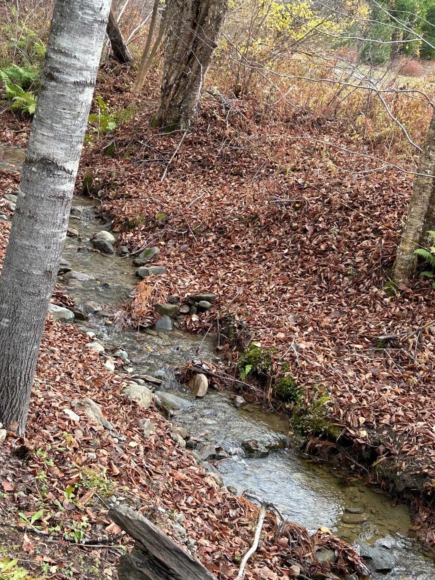 33 Williams Lane Wolcott, VT 05680 - Photo 44 of 57