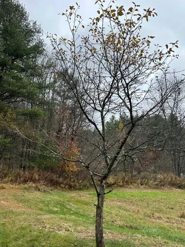 $575,000 | 33 Williams Lane, Wolcott, VT 05680