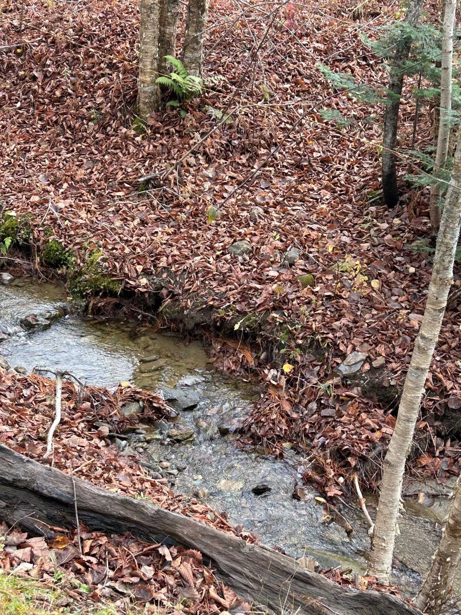 33 Williams Lane Wolcott, VT 05680 - Photo 51 of 57