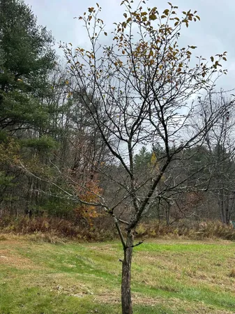 $499,000 | 33 Williams Lane, Wolcott, VT 05680