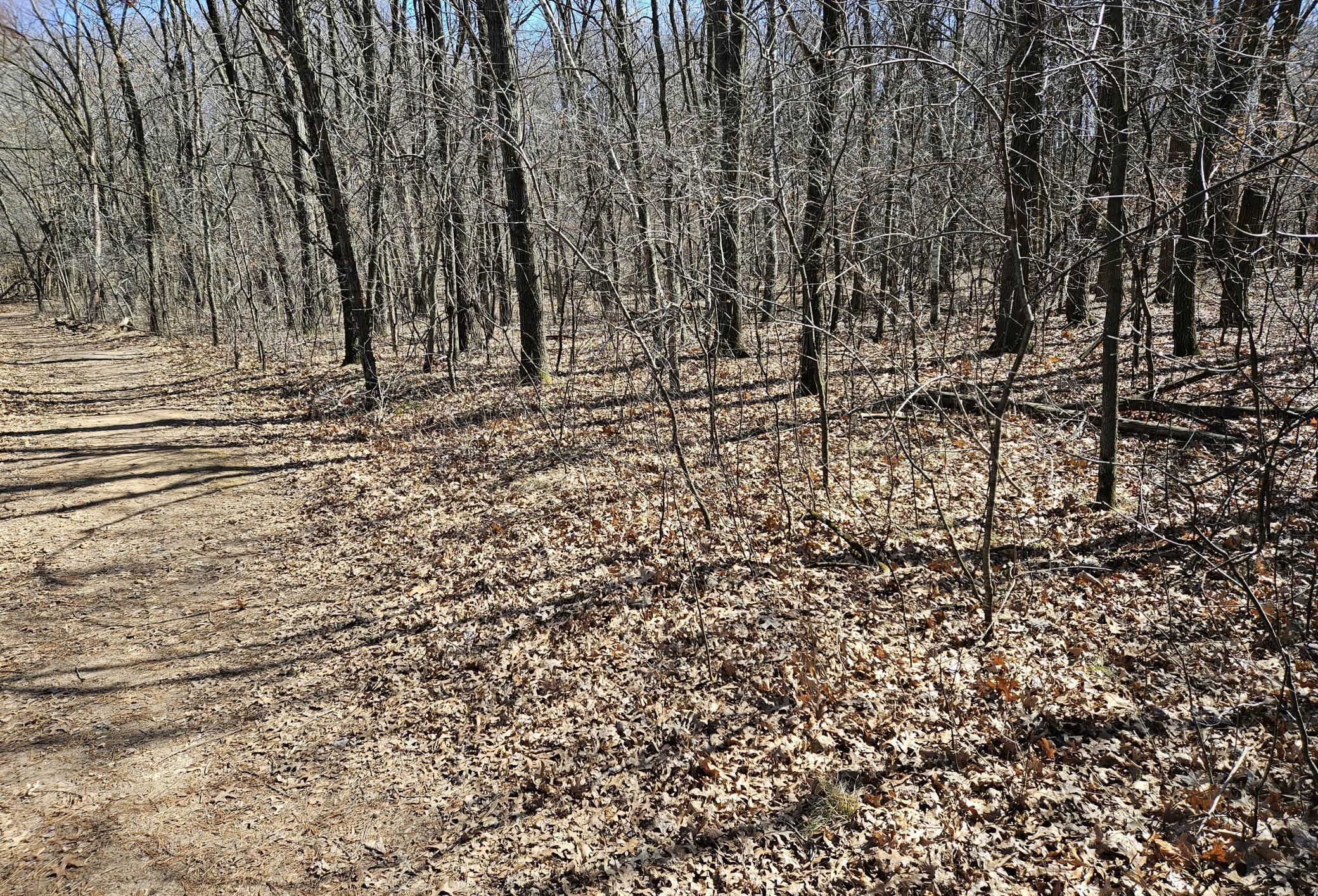 1352 5th Avenue Menomonie, WI 54751 - Photo 11 of 12