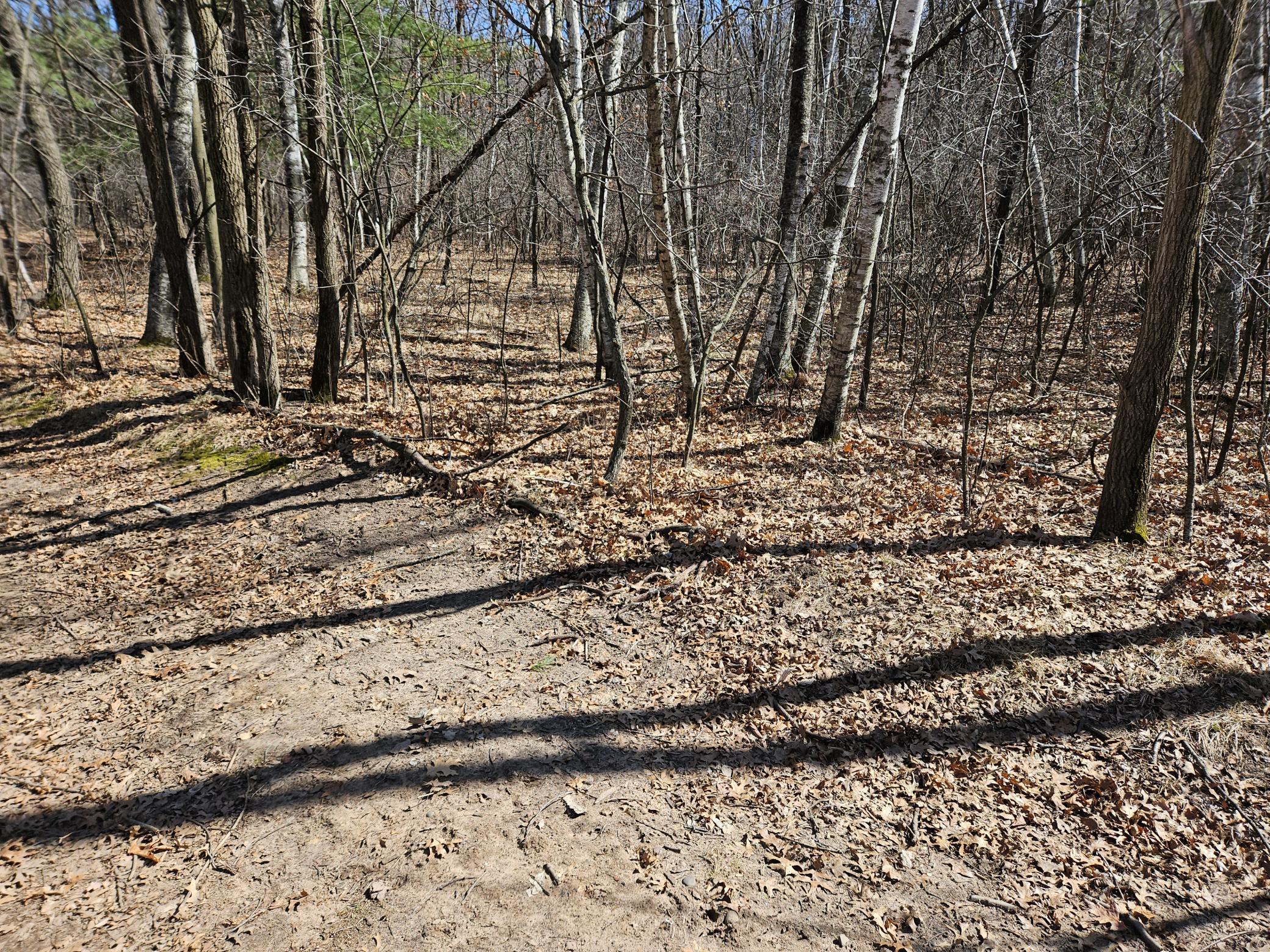 1352 5th Avenue Menomonie, WI 54751 - Photo 8 of 12