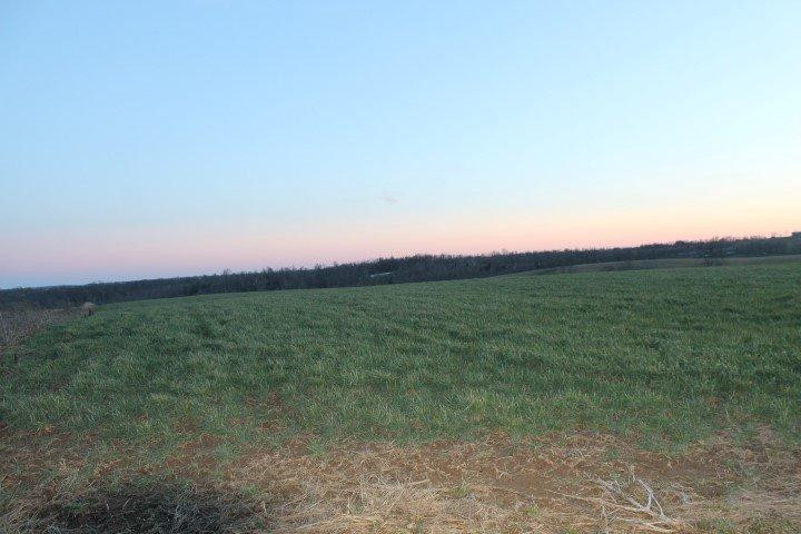 680 Upper Lick Road Moorefield, KY 40350 - Photo 2 of 27 Photo 2