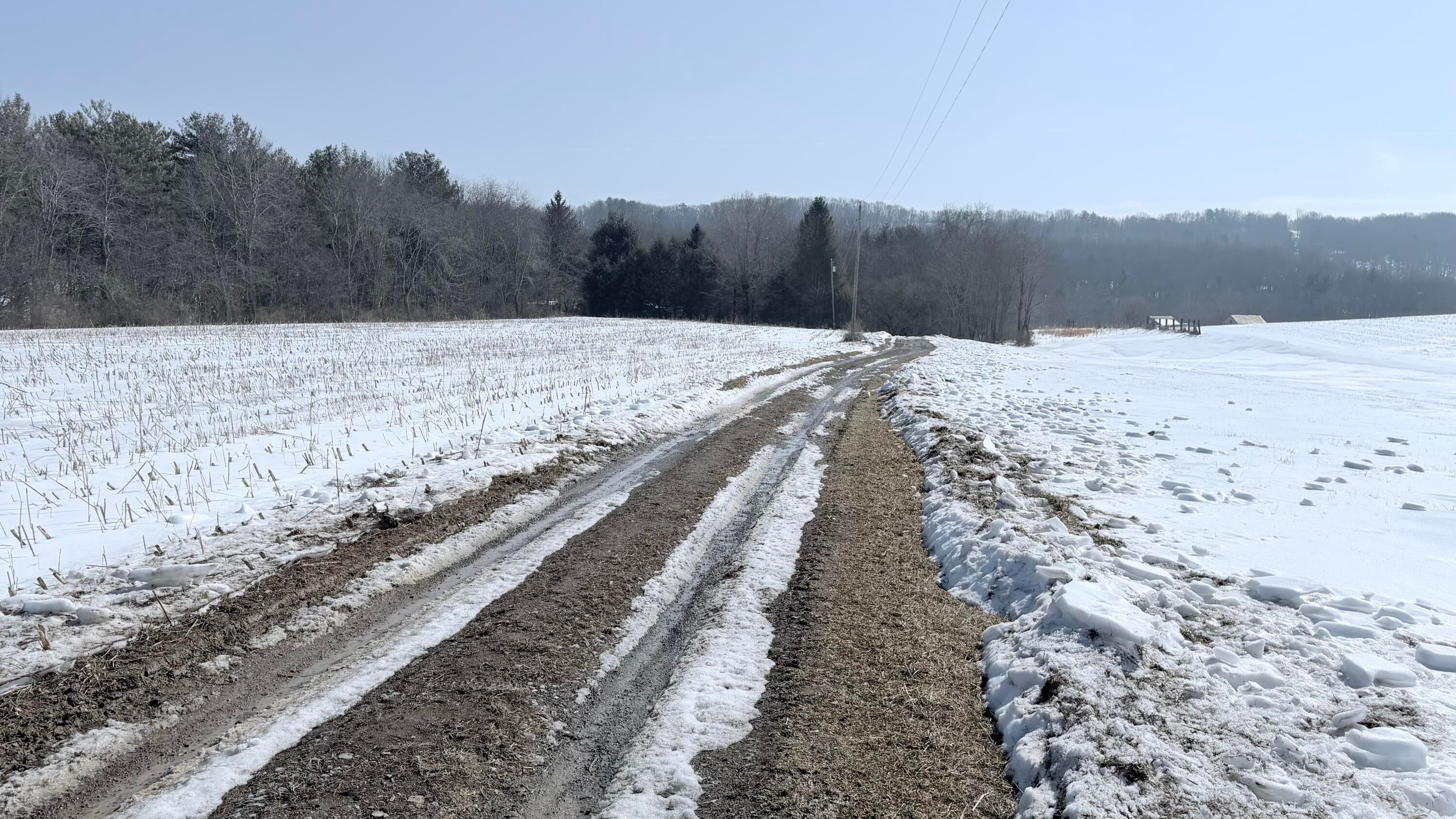 Vago Road Frankford, WV 24938 - Photo 17 of 18 Right-away from Vago Road. 6.92 acres is on the right hand side only.