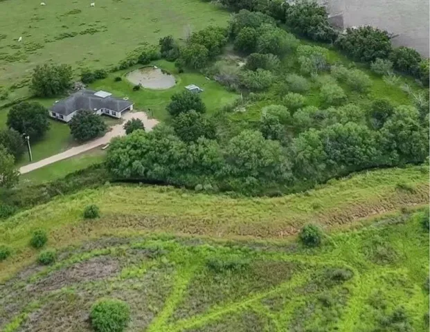 a view of a lush green space