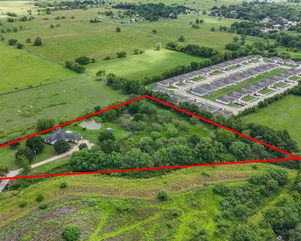 a view of a lush green space