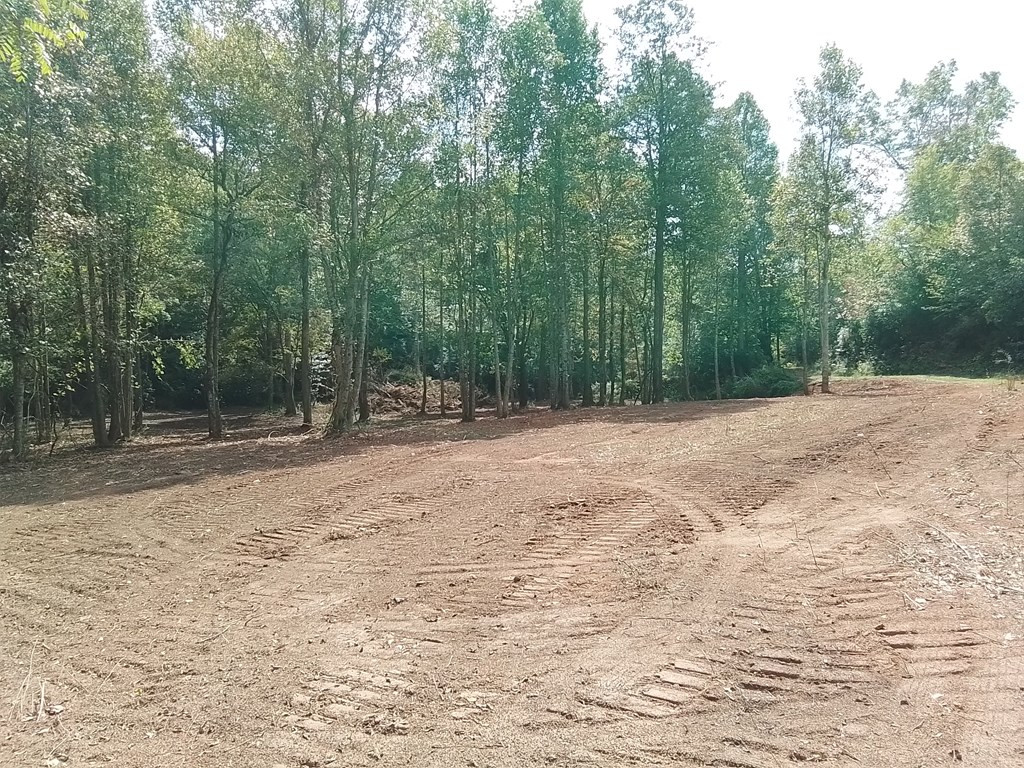 End Of Tanglewood Ridge Murphy, NC 28906 - Photo 32 of 38