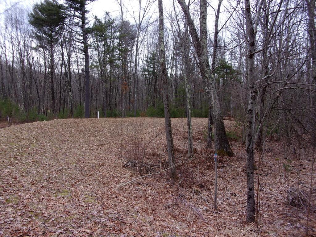 158 Osborne Road Ware, MA 01082 - Photo 10 of 31 a view of a backyard
