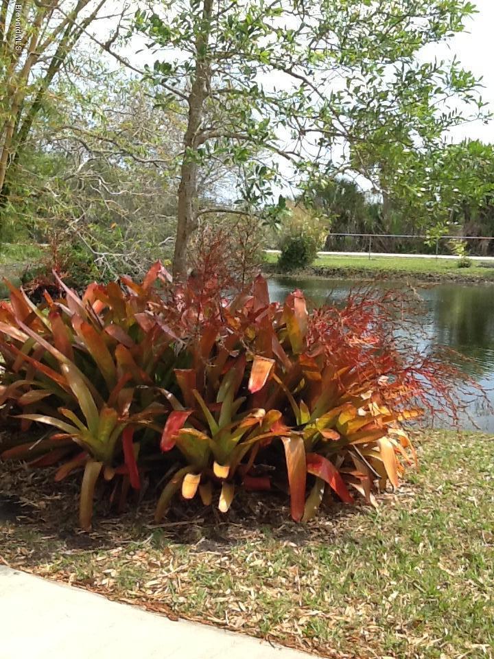 3230 Leghorn Road Malabar, FL 32950 - Photo 31 of 39 leghorn pic4
