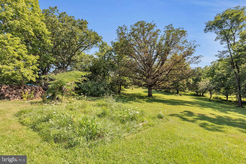 17238 Back Road Strasburg, VA 22657 - Photo 30 of 38 Fenced area around Home
