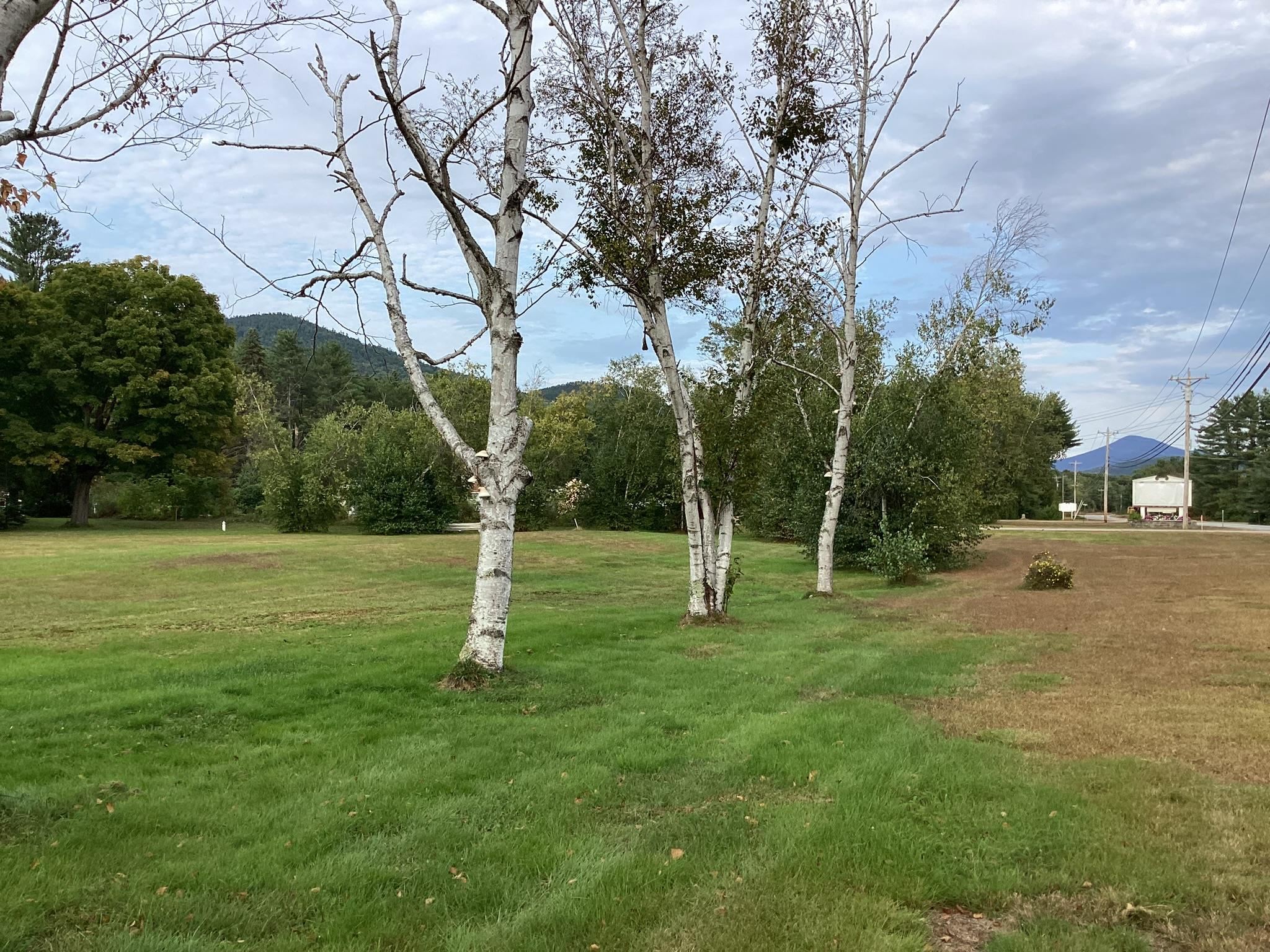 0 Us Route 302, Unit 2 Bartlett, NH 03812 - Photo 4 of 14