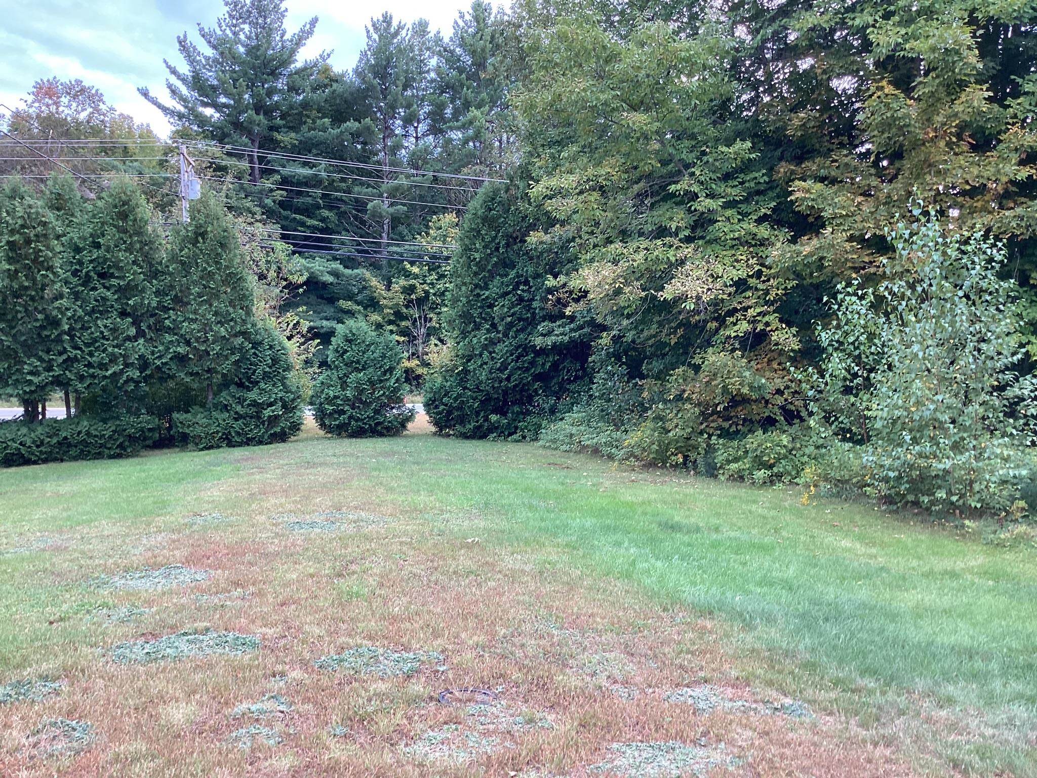 0 Us Route 302, Unit 2 Bartlett, NH 03812 - Photo 5 of 14