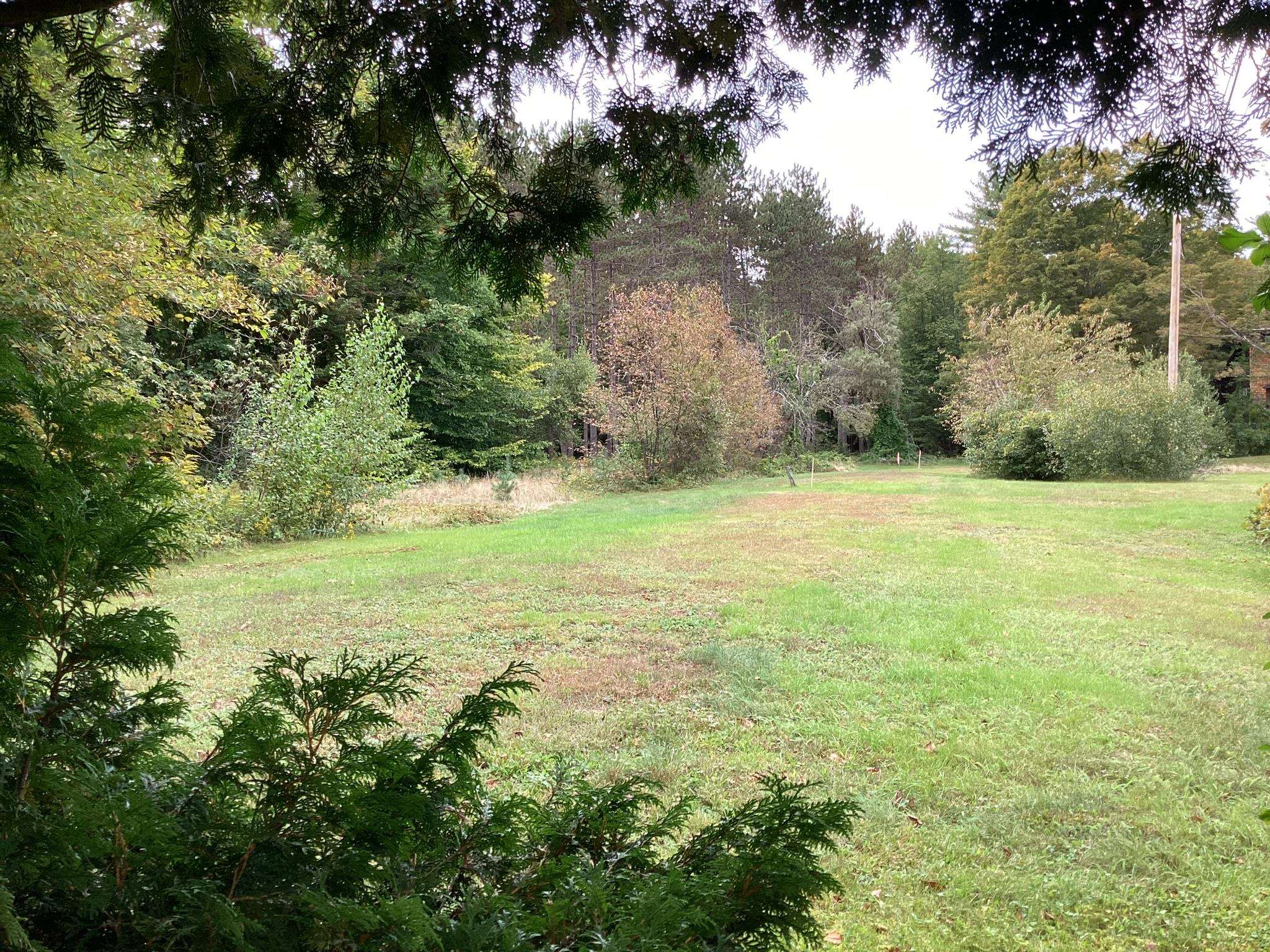 0 Us Route 302, Unit 2 Bartlett, NH 03812 - Photo 6 of 14