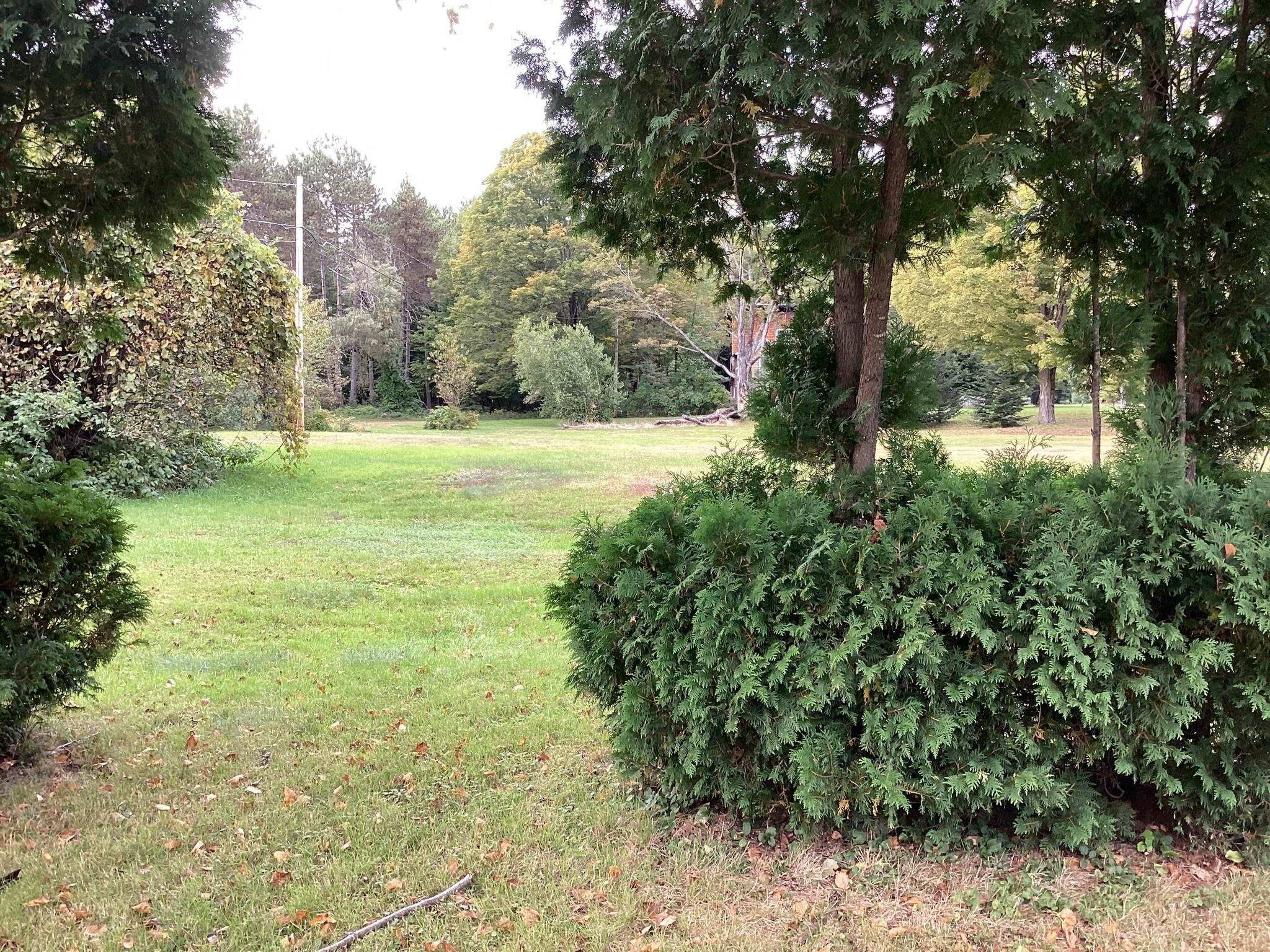 0 Us Route 302, Unit 2 Bartlett, NH 03812 - Photo 7 of 14