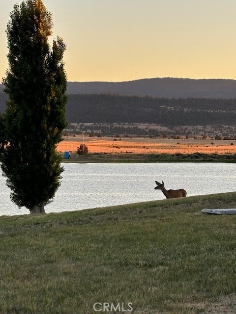 0 Lake View Drive Alturas, CA 96101 - Photo 16 of 18 a view of a backyard