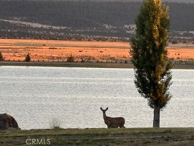 0 Lake View Drive Alturas, CA 96101 - Photo 17 of 18 a view of a lake with a beach