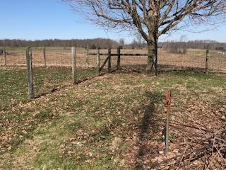 1495 Frazer Road Monticello, KY 42633 - Photo 18 of 56 IMG_0114