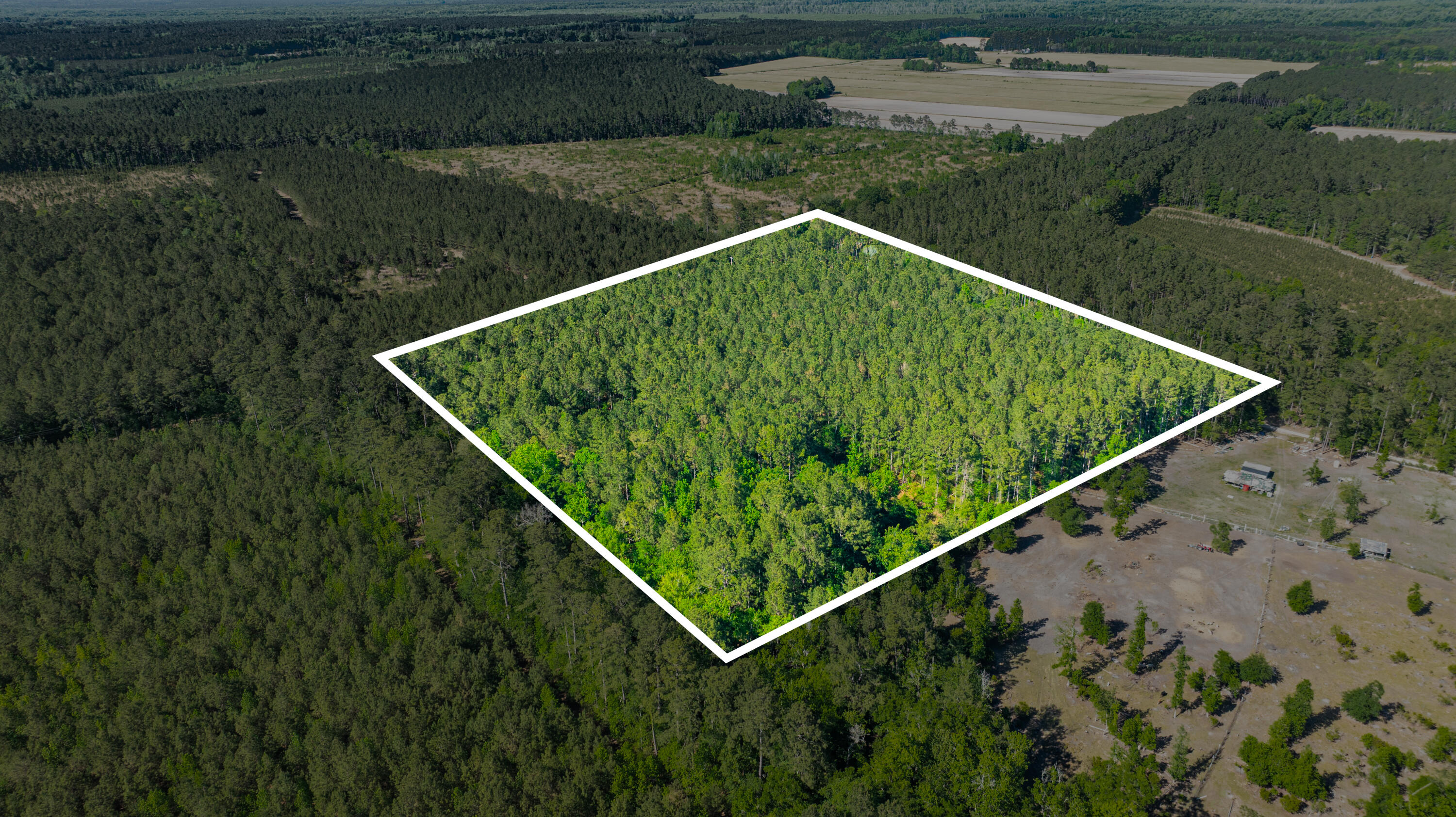 0 Crews Cemetary Road Varnville, SC 29944 - Photo 16 of 17 DJI_0566_1