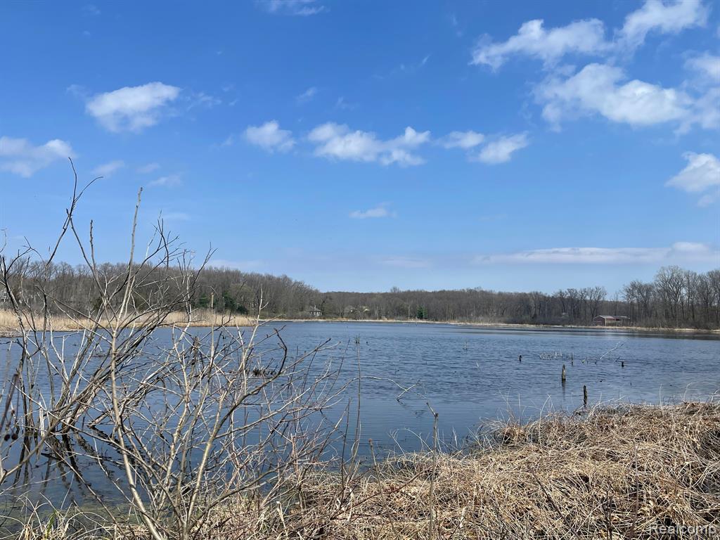 0 White Lake Road Flint, MI 48505 - Photo 8 of 12