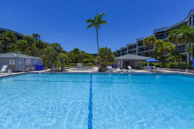 a view of swimming pool with outdoor seating and plants