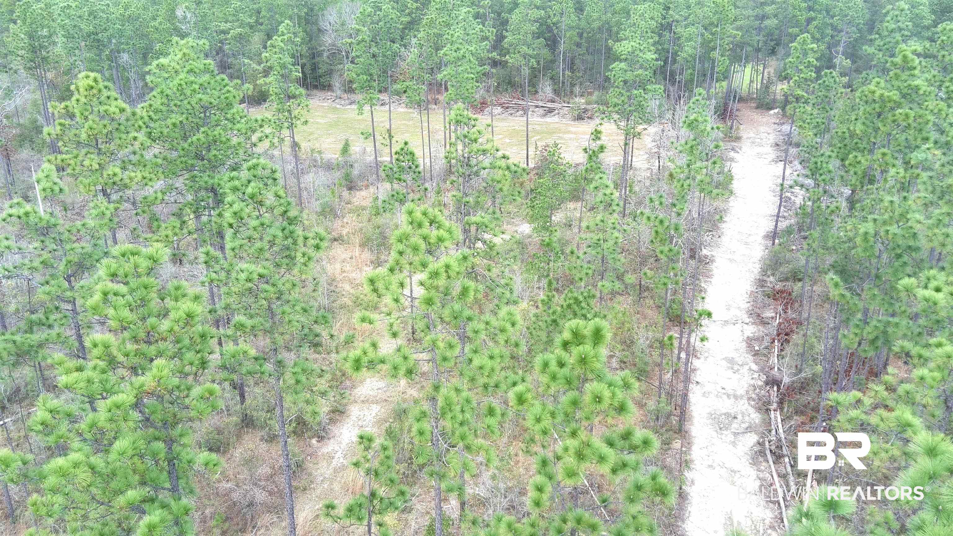 0 Paul Road Bay Minette, AL 36507 - Photo 10 of 19 Road behind treehouse leading to food plot