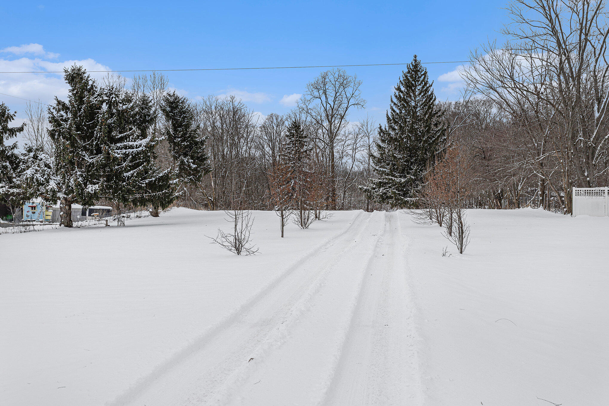 13774 Shaftsburg Road Perry, MI 48872 - Photo 12 of 48 026__mg_4080_149