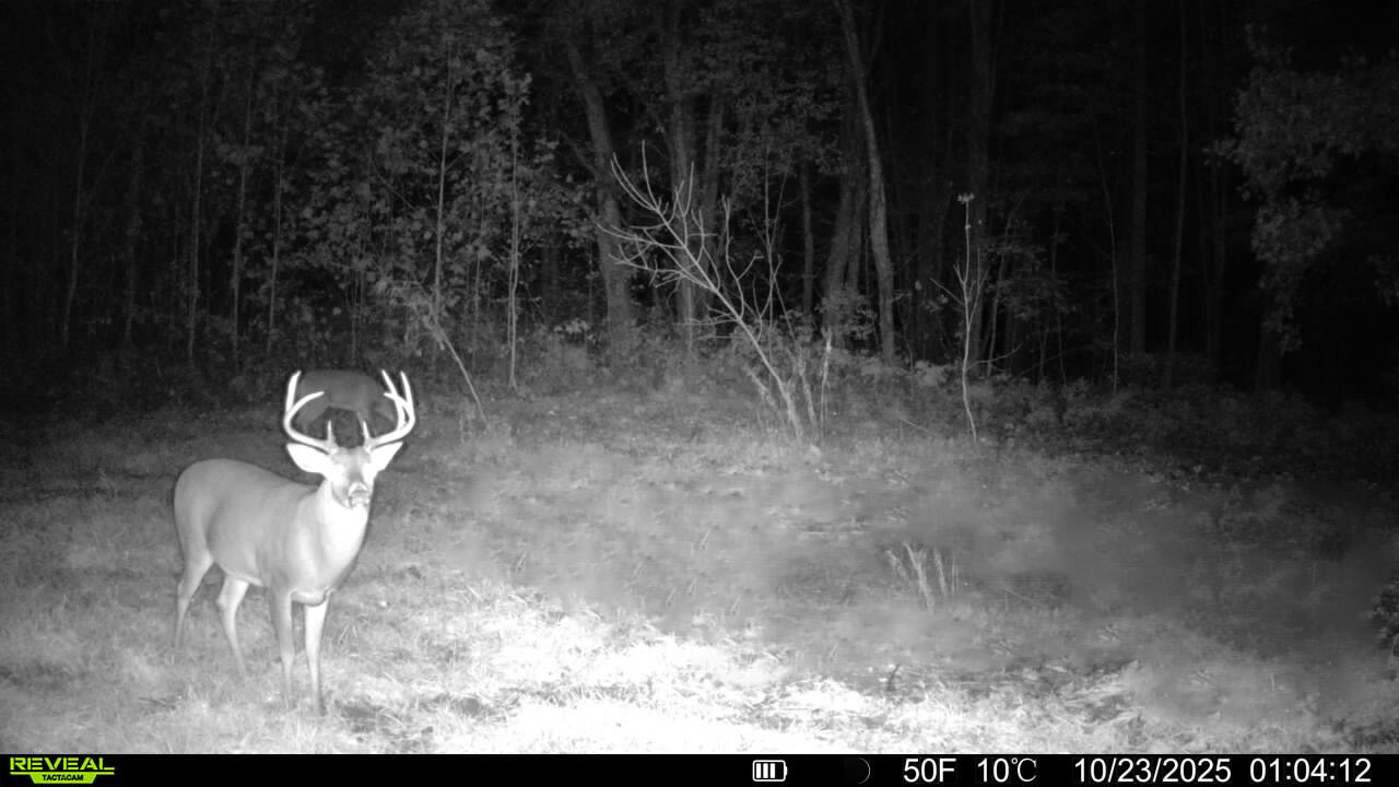 13774 Shaftsburg Road Perry, MI 48872 - Photo 3 of 48 CDECC69B-7CAA-4BE4-AC20-5F981179F636