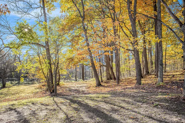 $290,000 | 13774 Shaftsburg Road, Perry, MI 48872