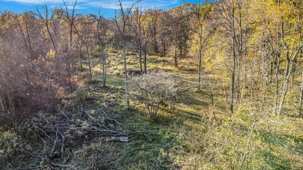 $290,000 | 13774 Shaftsburg Road, Perry, MI 48872