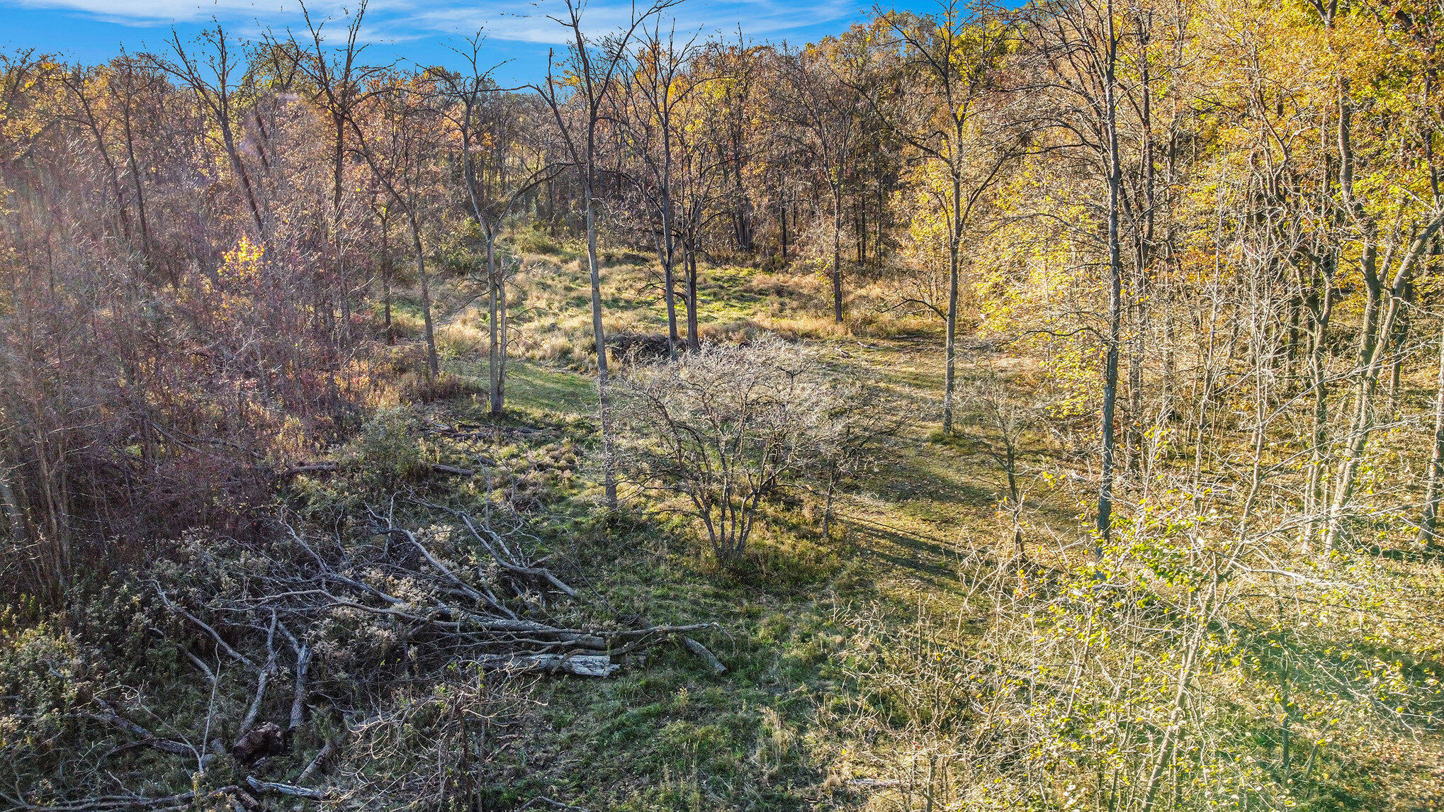 13774 Shaftsburg Road Perry, MI 48872 - Photo 5 of 48 019_dji_0339_128