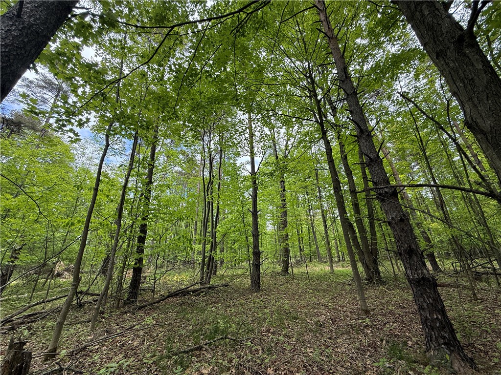 Hawley Road Bradford, NY 14815 - Photo 19 of 42