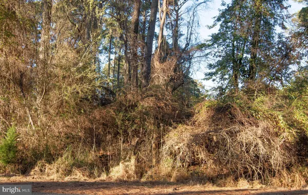 $10,000 | Lot 1098 Amidship Drive, Greenbackville, VA 23356