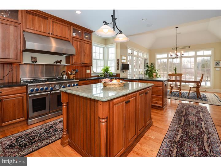 1200 Pebble Hill Road Doylestown, PA 18901 - Photo 8 of 25 Kitchen