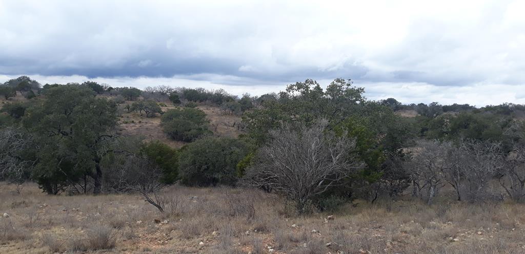 17167 Mill Creek Road Mason, TX 76856 - Photo 11 of 14 a view of a pathway in a yard