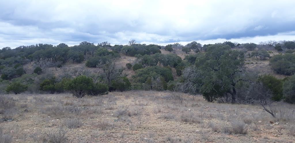 17167 Mill Creek Road Mason, TX 76856 - Photo 10 of 14 a view of a dry yard