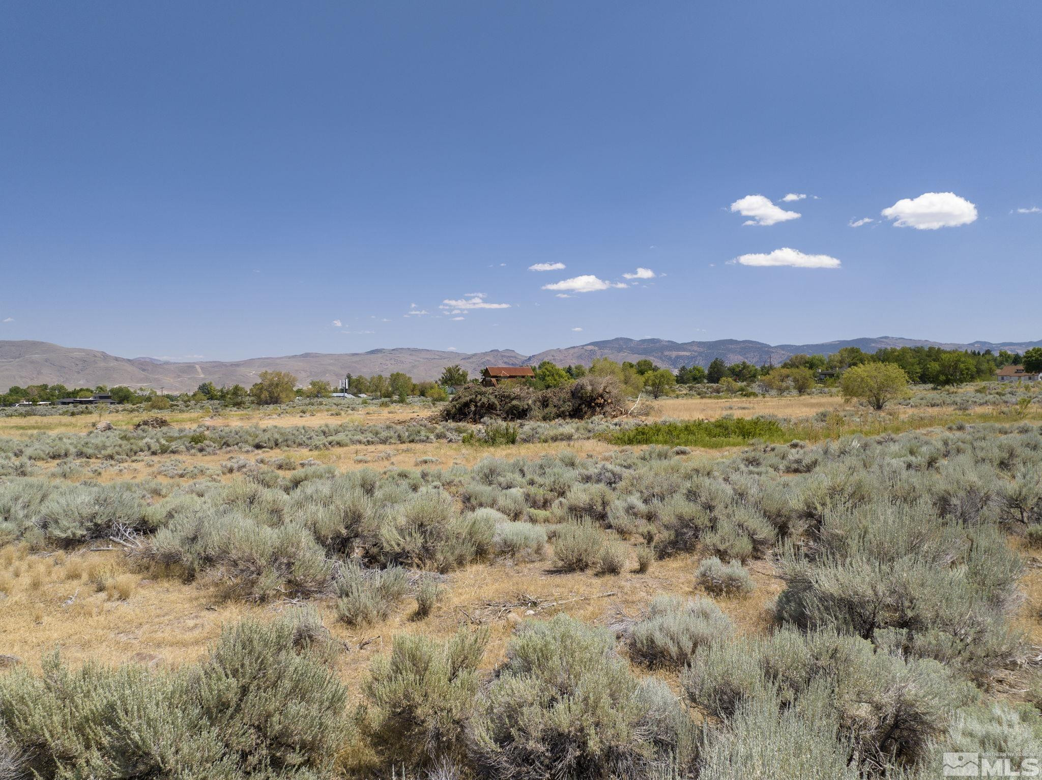 19 Glenhaven Drive Reno, NV 89511 - Photo 13 of 25 a view of a yard with an trees