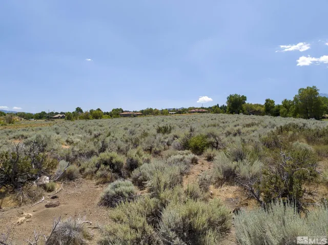 a view of a field with trees in background